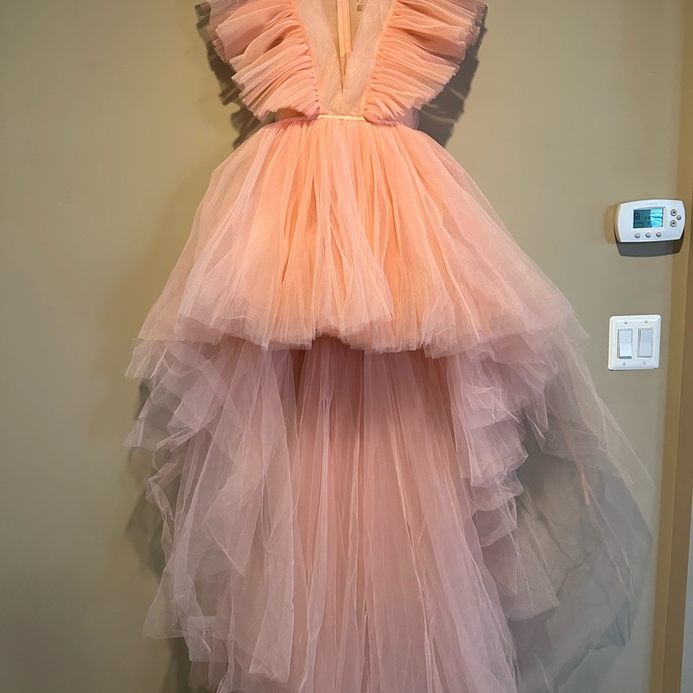 GIAMBATTISTA VALLI X H&M PEACH TULLE GOWN SIZE 34 - Picture 3 of 9